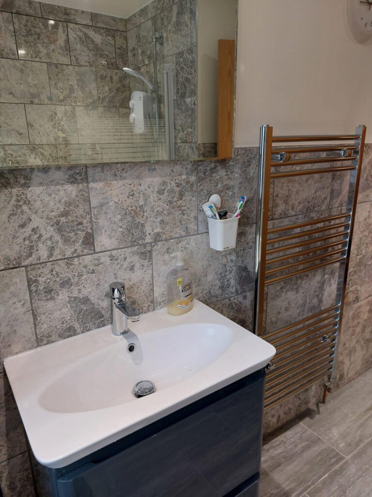 DF & Son bathroom renovation
